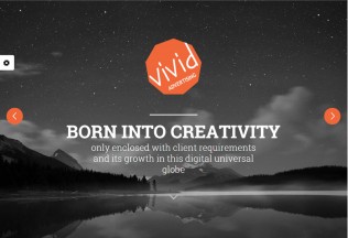 Vivid – Premium Responsive Bootstrap Parallax HTML5 Template
