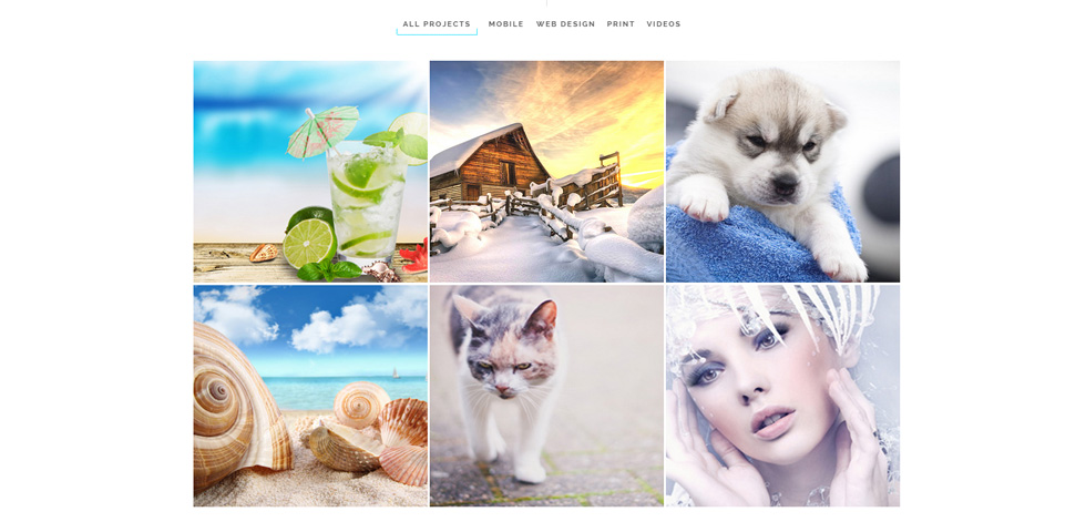 Portfolio