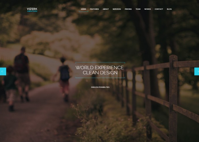 Vizerk – Premium Responsive One Page Parallax WordPress Theme