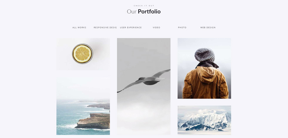 Portfolio
