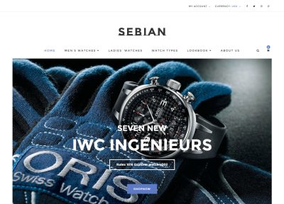 Best Responsive Magento Themes for Watch Stores in 2015