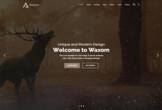 Waxom – Premium Responsive Clean and Universal WordPress Theme