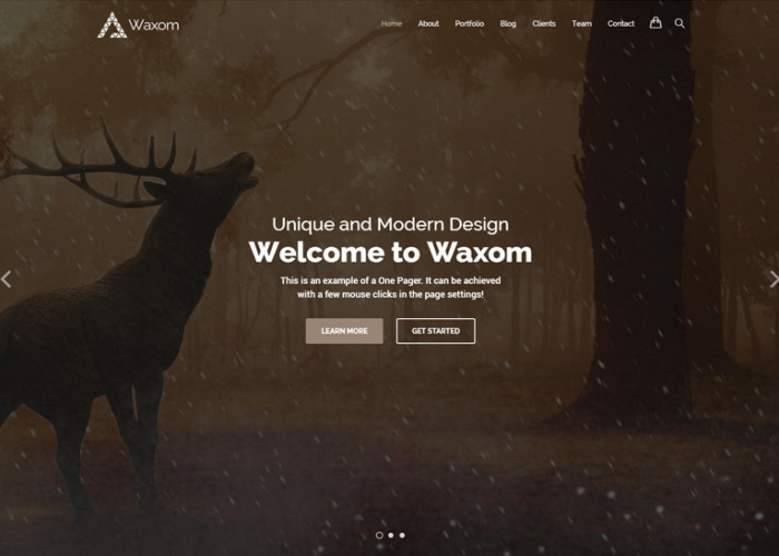 Waxom – Premium Responsive Clean and Universal WordPress Theme