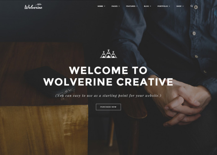 Wolverine – Premium Responsive MultiPurpose WordPress Theme