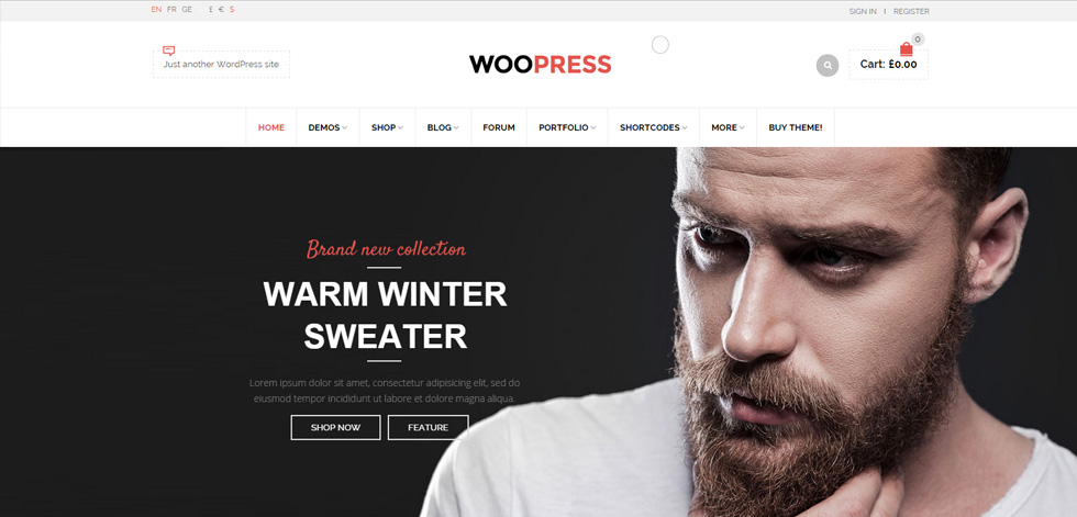 Home page