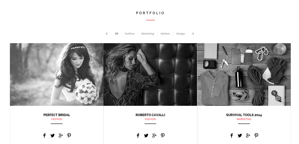 Portfolio
