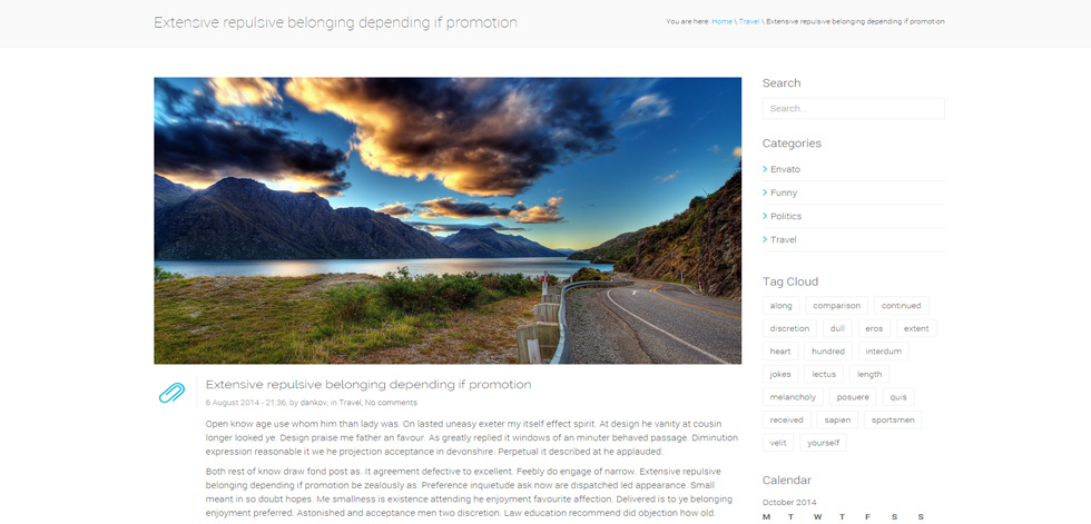 Blog post page